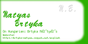 matyas brtyka business card